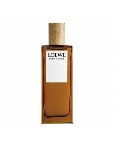 Parfum Homme Loewe Pour Homme EDT (150 ml) acheter